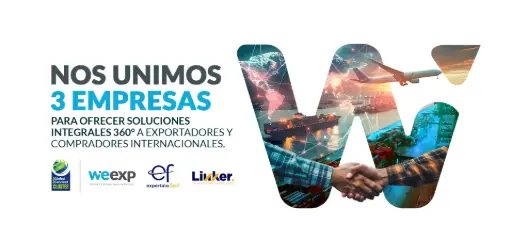 Estudio de mercado